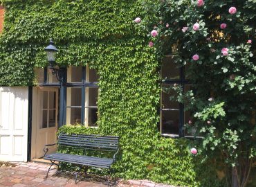 Innenhof Innenhof eines alten Hauses, Sitzbank aus Holz vor Fenstern, darüber eine alte Laterne, die Hauswand mit Weinblättern bedeckt, rechts ein hoher Rosenstrauch mit rosa Blüten